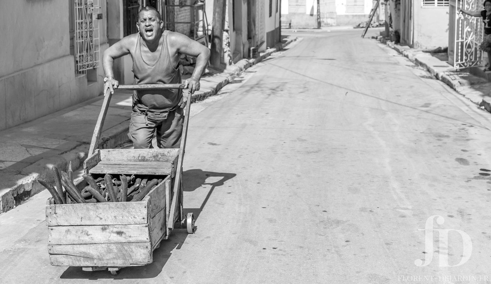 Photographie Reportage et spectacle — Florent Dejardin